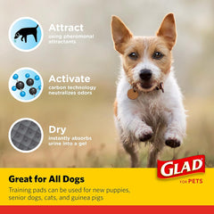 Glad for Pets Black Charcoal Puppy Pads - Super Absorbent Disposable Dog Pee Pads, Potty Training Pads, and Pet Supplies - Dog Pee Pads for Crate Training and Indoor Use 23" x 23" - 100 Count