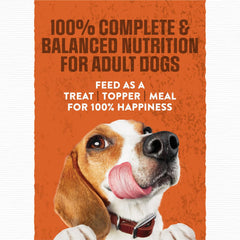 Purina Moist and Meaty Burger With Cheddar Cheese Flavor Dry Soft Dog Food Pouches - 216 Ounce (Pack of 1)